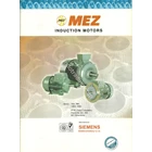 Electro Motor Mez 1