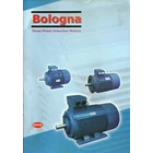 Electro Motor Bologna TYPE BLA-80M2-4 7