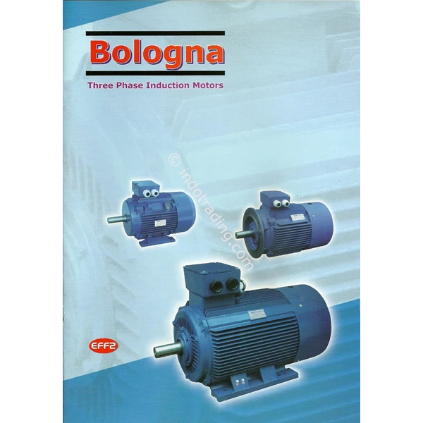 Electro Motor Bologna TYPE BLA-80M2-4