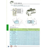 G3lm 3Phase Motor Reducer With Foot