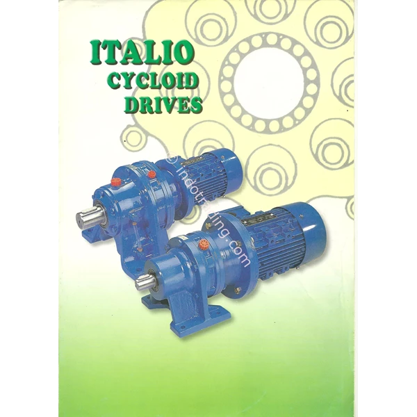 Cyclo Drive Motor Italio